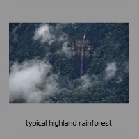 typical highland rainforest